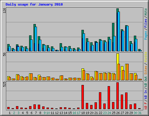 Daily usage for January 2010