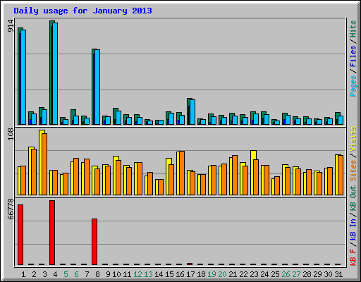Daily usage for January 2013
