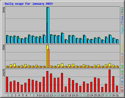Daily usage for January 2023