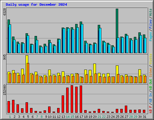 Daily usage for December 2024