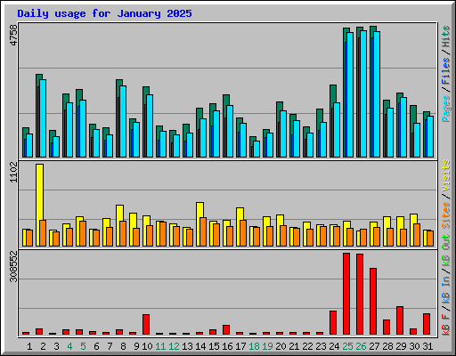 Daily usage for January 2025