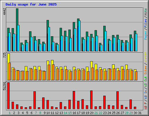 Daily usage for June 2025