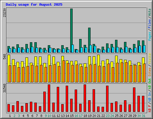 Daily usage for August 2025