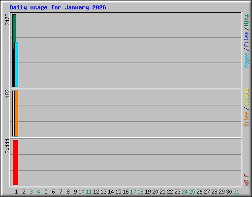 Daily usage for January 2026