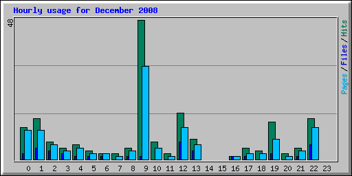 Hourly usage for December 2008