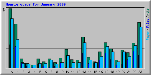 Hourly usage for January 2009