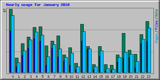 Hourly usage for January 2010