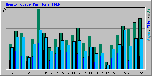 Hourly usage for June 2010