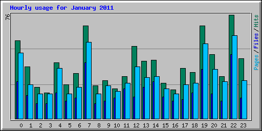 Hourly usage for January 2011