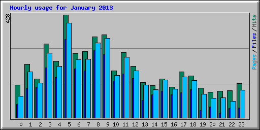 Hourly usage for January 2013