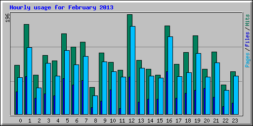 Hourly usage for February 2013