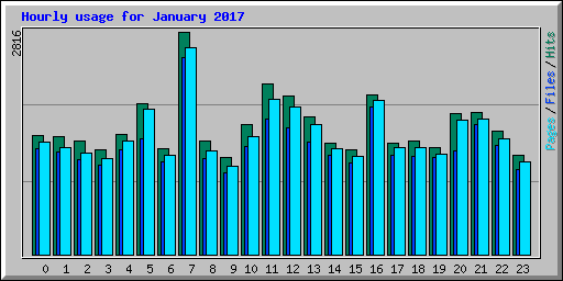 Hourly usage for January 2017