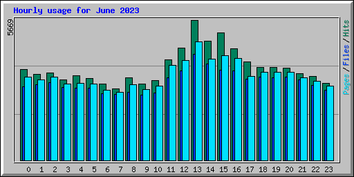 Hourly usage for June 2023