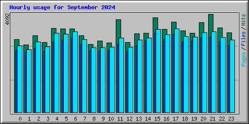 Hourly usage for September 2024