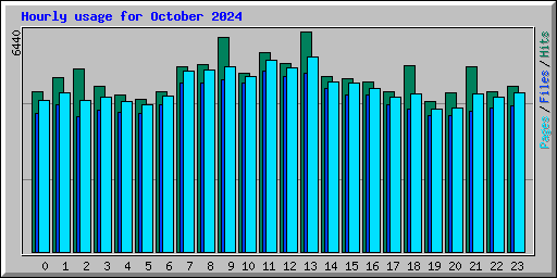 Hourly usage for October 2024