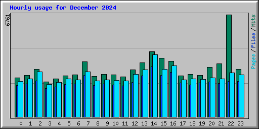 Hourly usage for December 2024