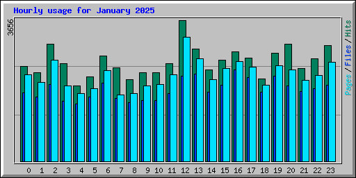 Hourly usage for January 2025