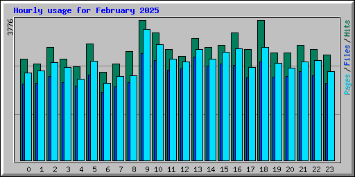 Hourly usage for February 2025