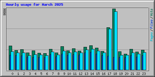 Hourly usage for March 2025