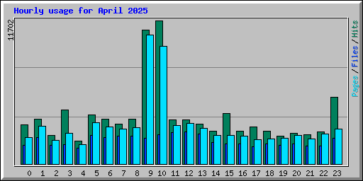 Hourly usage for April 2025