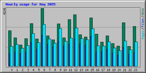 Hourly usage for May 2025
