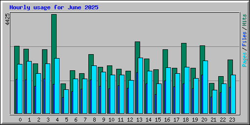 Hourly usage for June 2025
