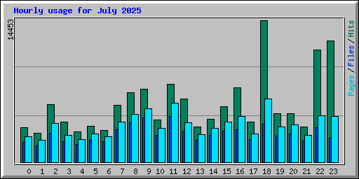 Hourly usage for July 2025