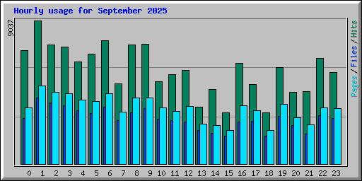Hourly usage for September 2025