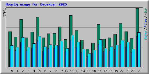 Hourly usage for December 2025
