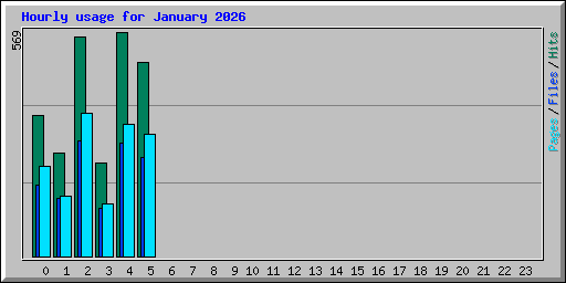 Hourly usage for January 2026