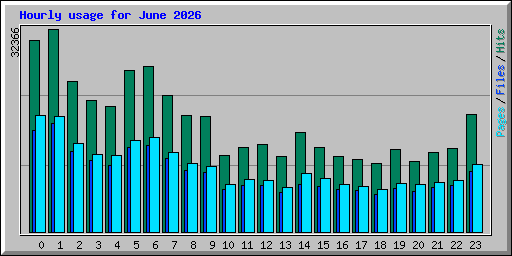 Hourly usage for June 2026