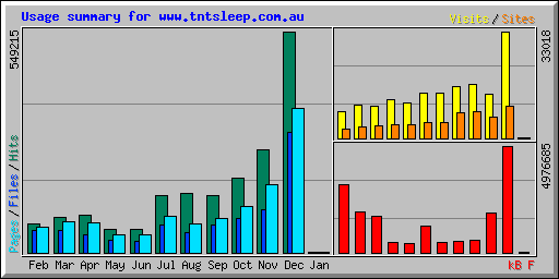 Usage summary for www.tntsleep.com.au